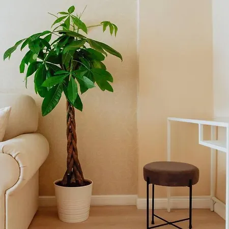 Elegant Vibes Next To Obor Market *